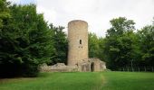 Percorso A piedi Bad Soden-Salmünster - Spessartspuren - Bad Sodener Waldgeflüster - Photo 10