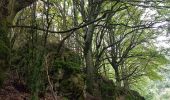 Randonnée Marche nordique Lauroux - Labeil Forêt de L'Escandorgue Roquet Escu - Photo 10