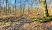 Excursión Senderismo Compiègne - en forêt de Compiègne_47_autour des Beaux Monts - Photo 7