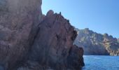 Tocht Motorboot Ota - Calanques par la mer Scandola Girolata - Photo 10