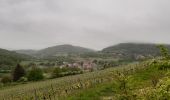 Trail Walking Saint-Martin-du-Mont - Saint Martin du mont - Photo 2