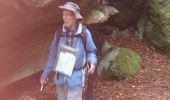 Trail Walking Fontainebleau - carrefour de Vienne  - Photo 4