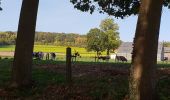 Tour Elektrofahrrad Ronse - Renaix - Mont de l'enclus, Escanaffles, Kwaremont, Zulzeke - Photo 7