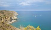 Tocht Stappen Banyuls-sur-Mer - Banyuls-Peyrefite_T - Photo 1