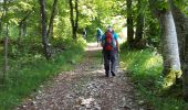 Trail Walking Engins - La Ferme Durand - Photo 6