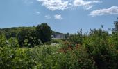 Tour Wandern Villandry - Villandry - Vallères - 16.3km 145m 4h30 (1h) - 2025 06 12 - Photo 1