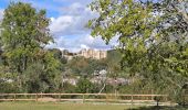 Tour Wandern Saint-Rémy-lès-Chevreuse - Virade de St Remy Parcours jaune - Photo 18