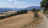 Tour Wandern Le Sauze-du-Lac - les Demooselles coiffées (vues du dessus)  - Photo 5