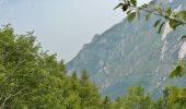 Trail On foot Limone sul Garda - Agostino Tosi - Photo 3
