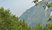 Tour Zu Fuß Limone sul Garda - Agostino Tosi - Photo 3