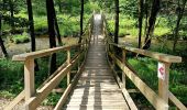 Randonnée Marche Amblève - La rivière d'or (9km) - Photo 2