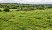 Tocht Stappen Valorbiquet - St Cyr-Pretreville - Photo 1