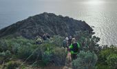 Percorso Marcia La Croix-Valmer - Boucle en partant de la plage de Gigaro - Photo 18