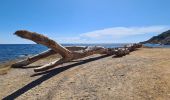 Tour Wandern Ramatuelle - bonne terrasse Camarat - Photo 19