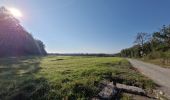 Randonnée Marche Durbuy - Petit-han à travers bois - Photo 5