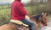 Trail Horseback riding Saint-Martin - Tivio kaline changer au milieu  - Photo 5