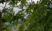 Randonnée Marche Caussou - le tour de Caussou  - Photo 2