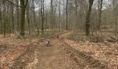 Trail Walking Tintigny - Bellefontaine Saint-Vincent - Photo 5