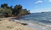 Excursión Senderismo La Londe-les-Maures - La Londe - L'argentiere vers le Pellegrin - Photo 12