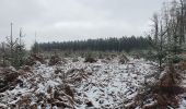 Tour Wandern La Roche-en-Ardenne - rando warempage 10/12/2020 - Photo 9