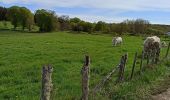 Tour Wandern Malleret - Roc de Pierre Fade - Photo 3