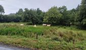 Randonnée Marche Souleuvre-en-Bocage -  Campeaux - Photo 2