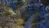 Tour Wandern Saint-Maurice-Navacelles - GRP La Vaquerie - Photo 12
