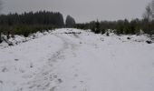Trail Walking Theux - Bronromme sous la neige  - Photo 16