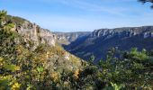 Excursión Senderismo Le Rozier - les corniches du Méjean (la Jonte) - Photo 8