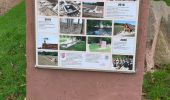 Excursión Senderismo Dorlisheim - rando Dorlisheim 2 - Photo 7