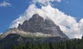 Excursión Senderismo Auronzo di Cadore - DOLOMITES 07 - Lavaredo - Mirusina - Photo 2