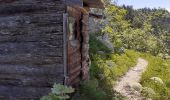 Trail Walking Saint-Martin-en-Vercors - grotte de la cheminée  - Photo 7