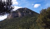 Tocht Stappen Le Revest-les-Eaux - Le Mont Caume-17-03-21 - Photo 12