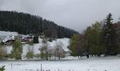 Trail Walking Schonach im Schwarzwald - ParadiesHof Schonach - Photo 3