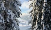 Excursión Raquetas de nieve Saint-Jean-de-Sixt - Le panorama du Danay (14) - Photo 8