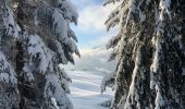 Percorso Racchette da neve Saint-Jean-de-Sixt - Le panorama du Danay (14) - Photo 8