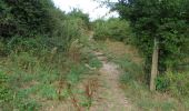 Excursión A pie North Hertfordshire - Weston Golden Jubilee Walk - Photo 4