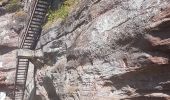 Tour Wandern Zabern - Les 4 châteaux de Saverne - Photo 12