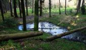 Tour Zu Fuß Postbauer-Heng - Keltenrunde - Photo 1