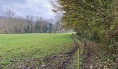 Excursión Senderismo Beersel - Dworp - Parc de Huizingen - Bois de Halle - Photo 19