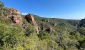 Tocht Stappen Bagnols-en-Forêt - Crête Diaou et gorges du Blavet - Photo 10