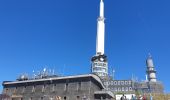 Tour Wandern Orcines - Montée au Puy de Dôme par le chemin des Muletiers - Photo 15