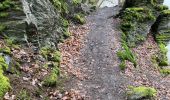 Randonnée Marche Houffalize - Barage  de Nisramont 14 Km - Photo 2