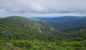 Tour Wandern Xonrupt-Longemer - 2024 RA Vosges J3 tour du schiessrothried - Photo 4