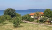 Excursión Senderismo Bolsena - Acquapendente / Montefiascone - Photo 15