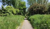 Tocht Stappen Hannuit - La balade des chevées (5km)  - Photo 6