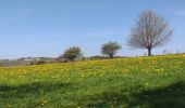 Tocht Stappen Saint-Chély-d'Aubrac - Compostelle St chely St come d'olt - Photo 6