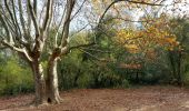 Tour Wandern Tourves - tourves gorges du Caramy, retour par  chap. de St Probace - Photo 2