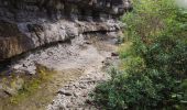 Trail Walking Lussas - canyon de la Louyre - Photo 8