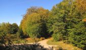 Percorso A piedi Villers-Cotterêts - le GR11A  dans la Forêt de Retz  - Photo 10